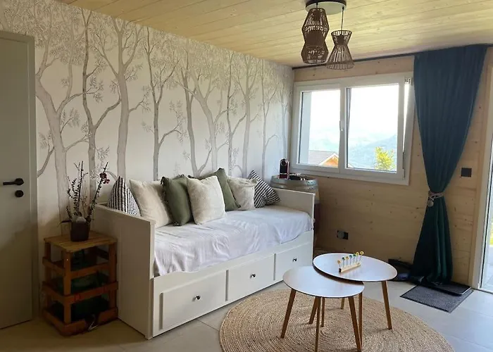 Appartement 2,5 Pieces Neuf Avec Terrasse